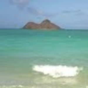 Meet your Posher, Suzanne